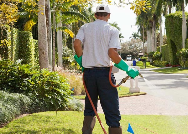 About Bluffton IN Pest Control Pros
